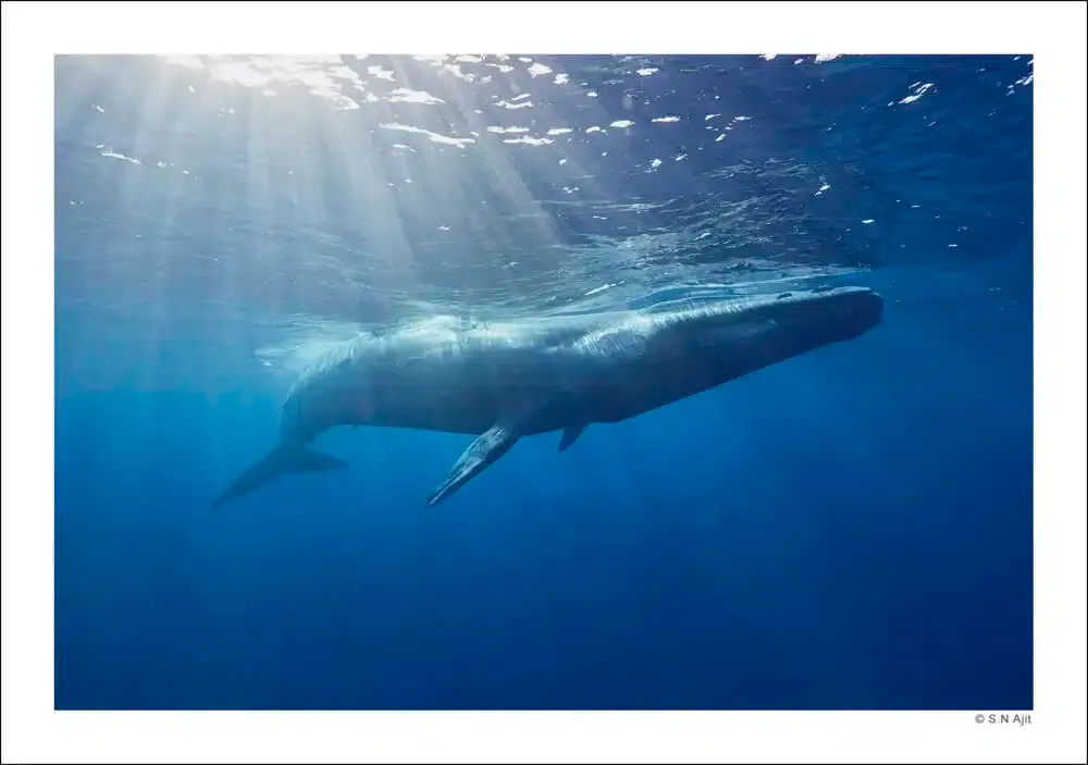 Selecting and Curating Your Work