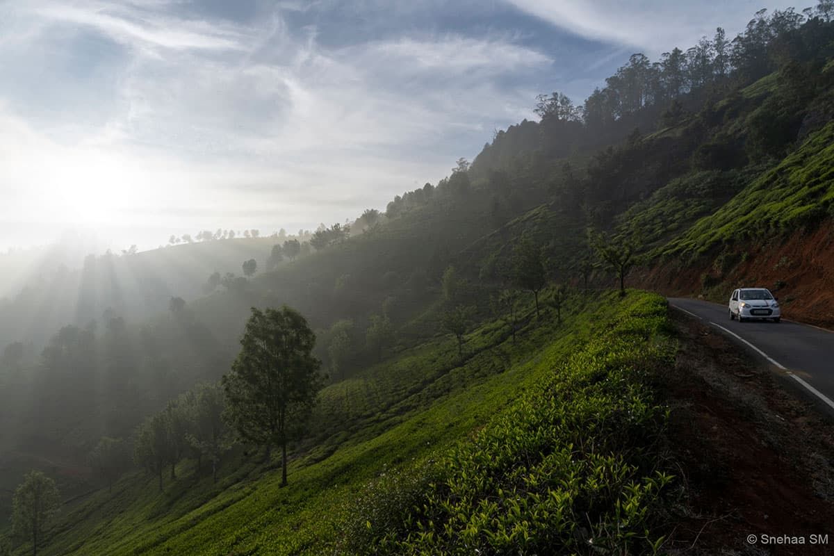 Best of Images : Edition 1