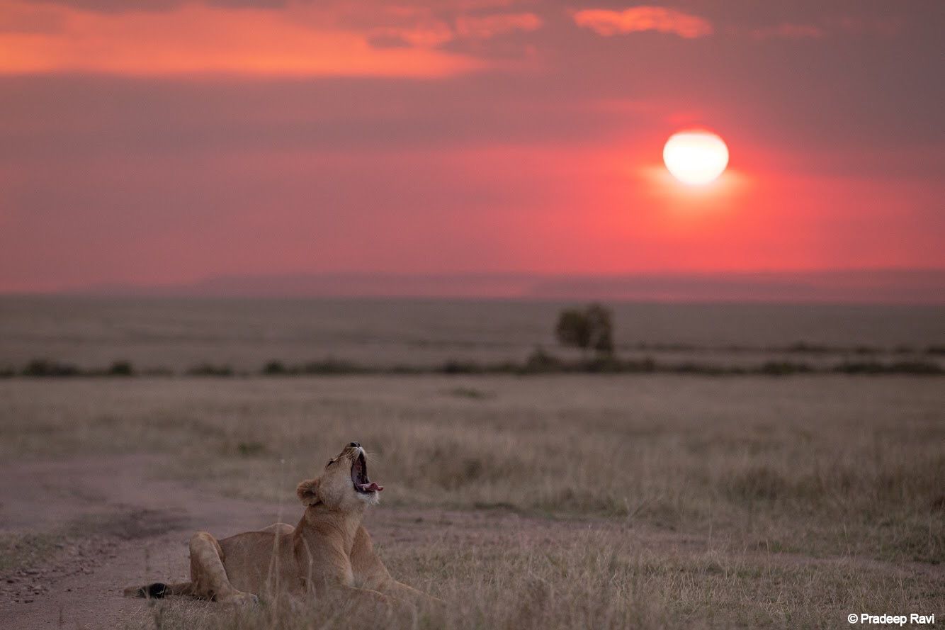 The long and winding road