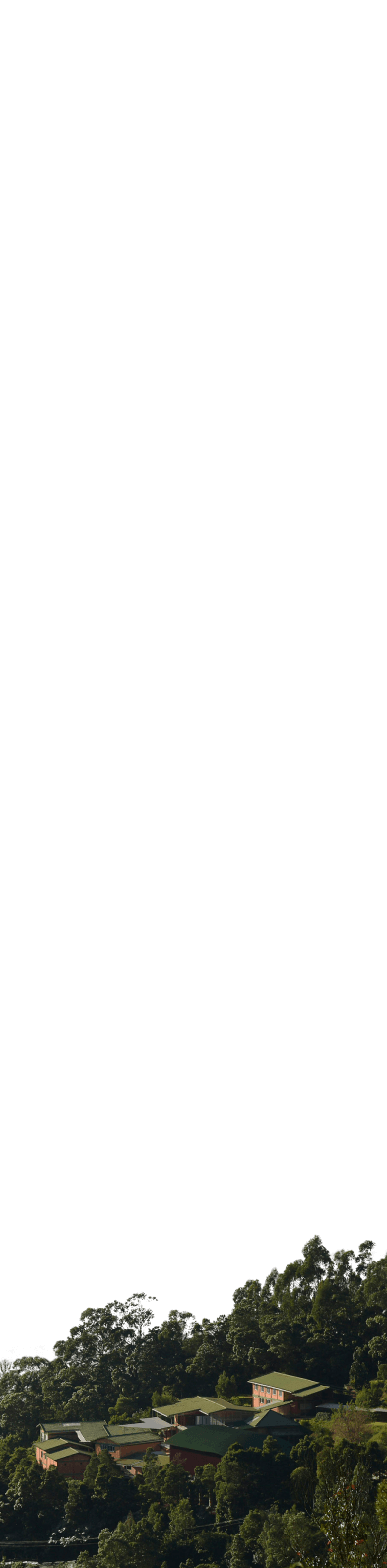 Frame Mobile PNG.png