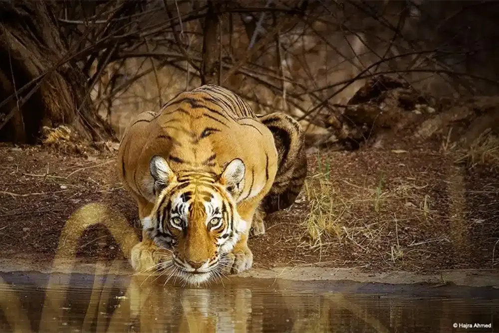 Travel, Nature & Fine Art Photography