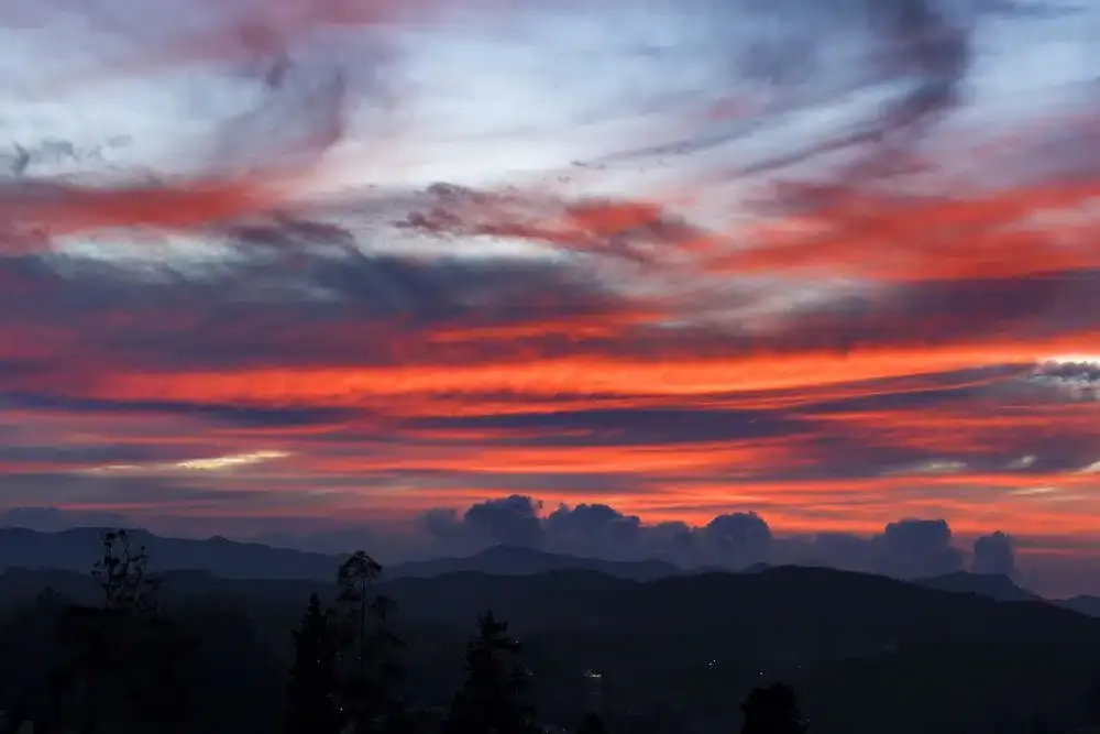 Red: The Color of Passion and Energy