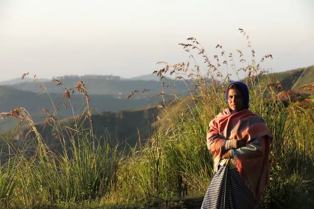 Yellow: The Warmth of Sunshine