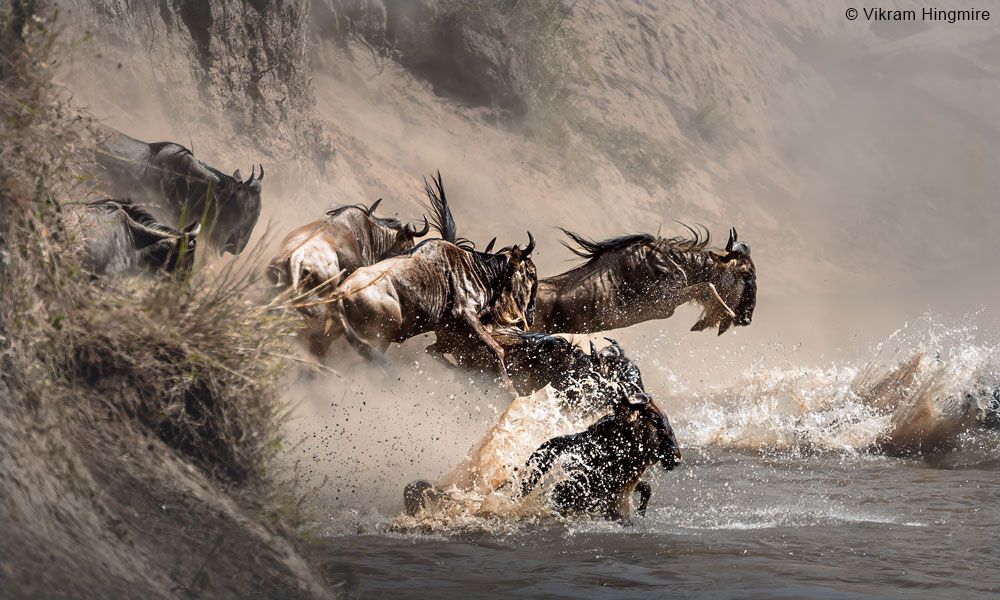 Part 3 - Portfolio.jpg