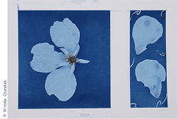 Printing with Sunlight