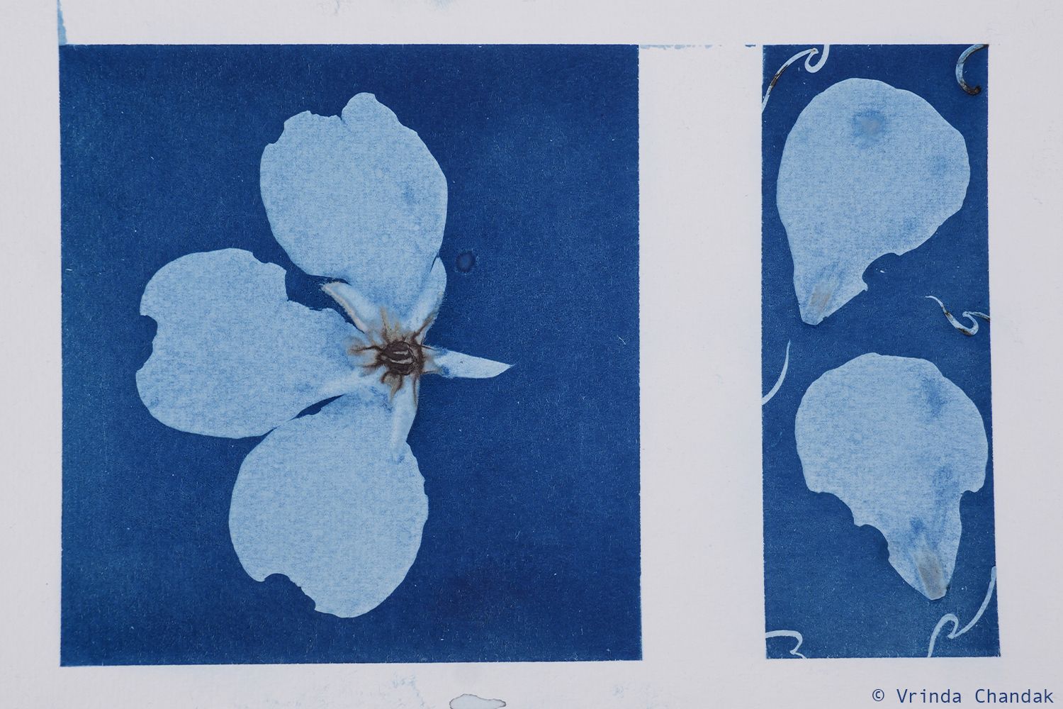 Printing with Sunlight