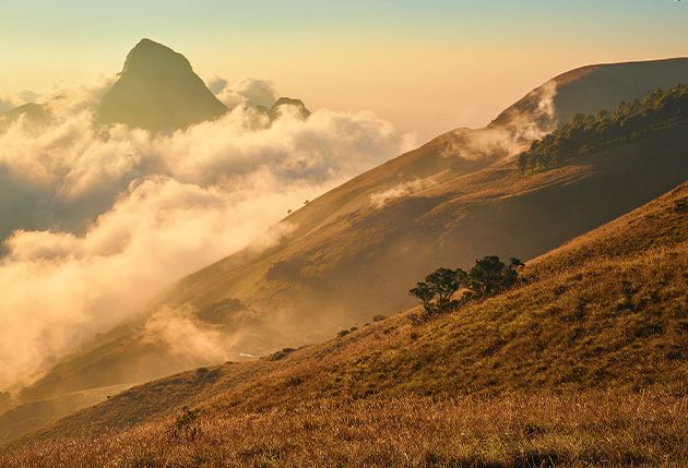 PG Diploma in Travel and Nature Photography & Videography