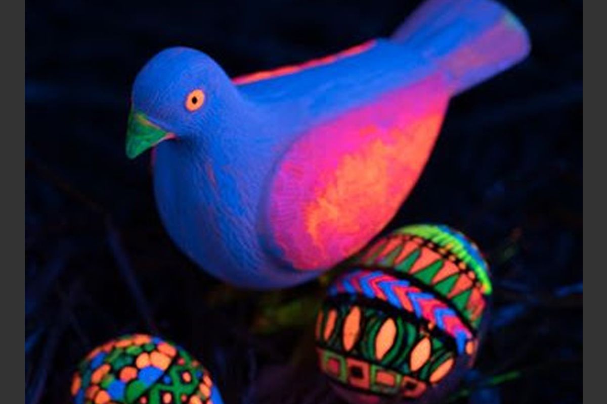 Ultra Violet Photography